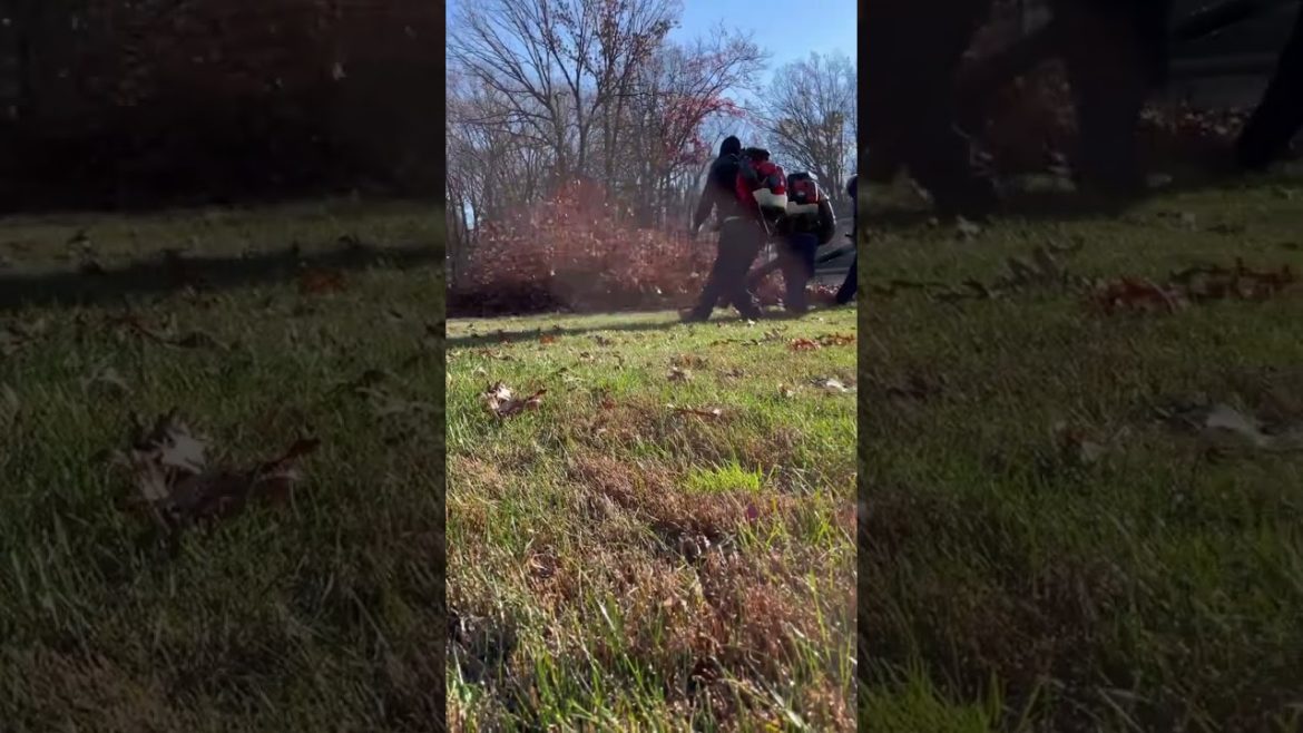 Cleanup team work! Isn’t that pile huge?! #leafcleanup #fallcleanup #yardcleanup #landscaping