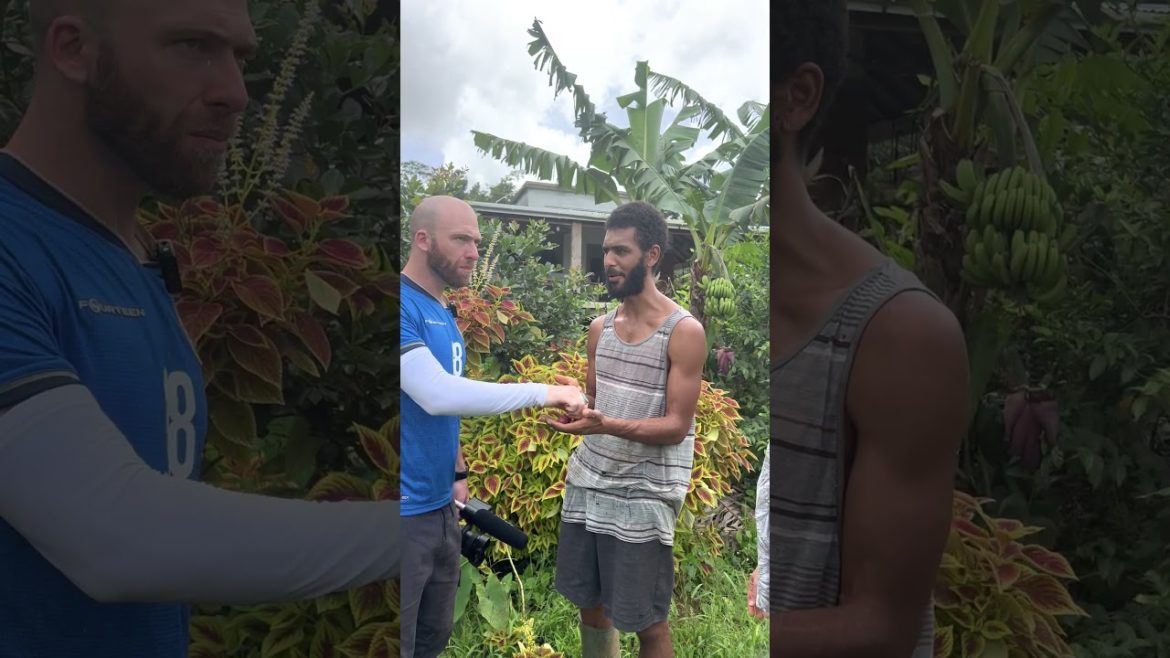 π©π² Exotic Cherry Guava in Dominica Caribbean #shorts π©π² Exotic Cherry Guava in Dominica Caribbean #shorts