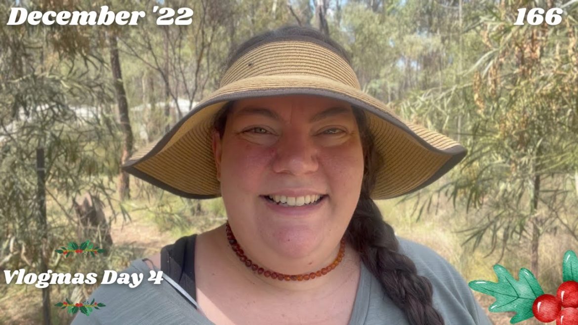 Weekly Homestead Chat | Garden Tour | Chicken Update | Vlogmas 2022 | Off Grid Australia 166 Weekly Homestead Chat | Garden Tour | Chicken Update | Vlogmas 2022 | Off Grid Australia 166