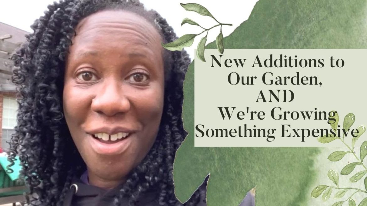 Exclusive: New Additions to Our Garden and We're Growing Something Really Expensive! Exclusive: New Additions to Our Garden and We're Growing Something Really Expensive!