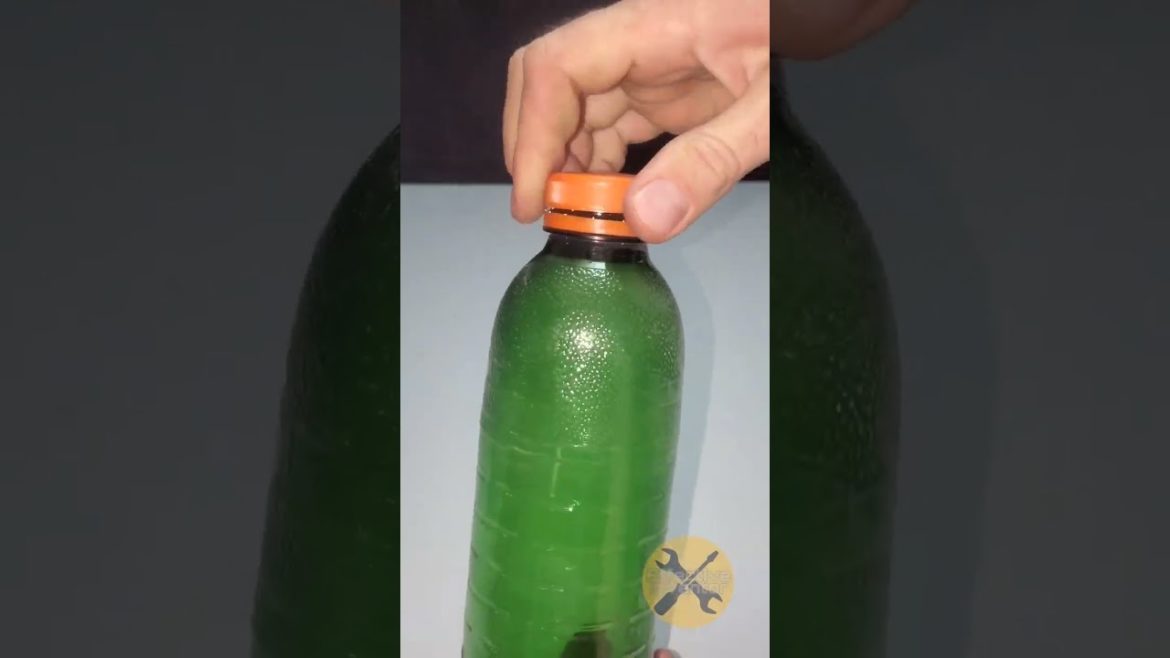 Automatic Vase Water Supply #shorts