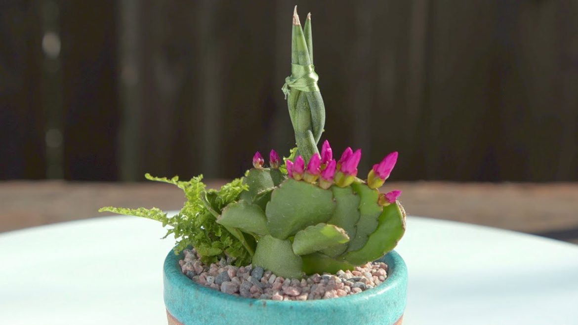 Pretty Container Garden