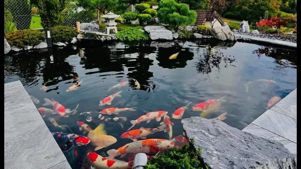 Beautiful Outside Backyard Garden Koi Pond Ideas | Amazing Garden Design