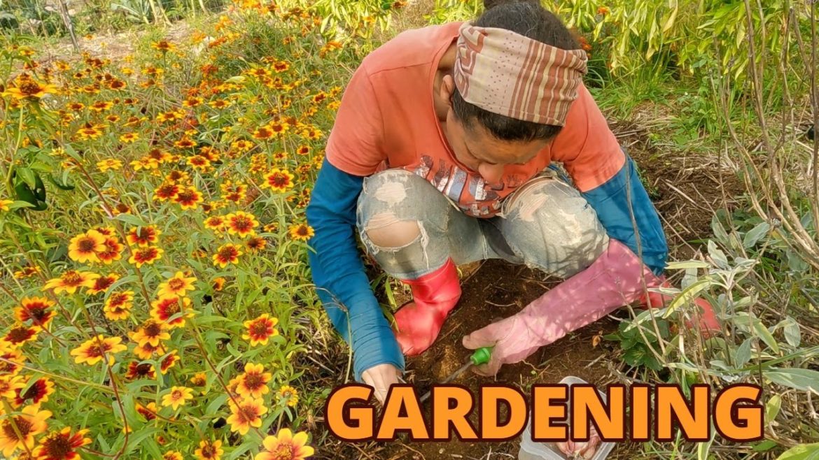 Planting garlic: How I do it (No speaking video) #shorts