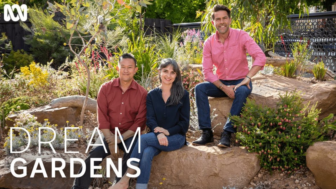 These Aussie natives will brighten up any garden | Dream Gardens These Aussie natives will brighten up any garden | Dream Gardens