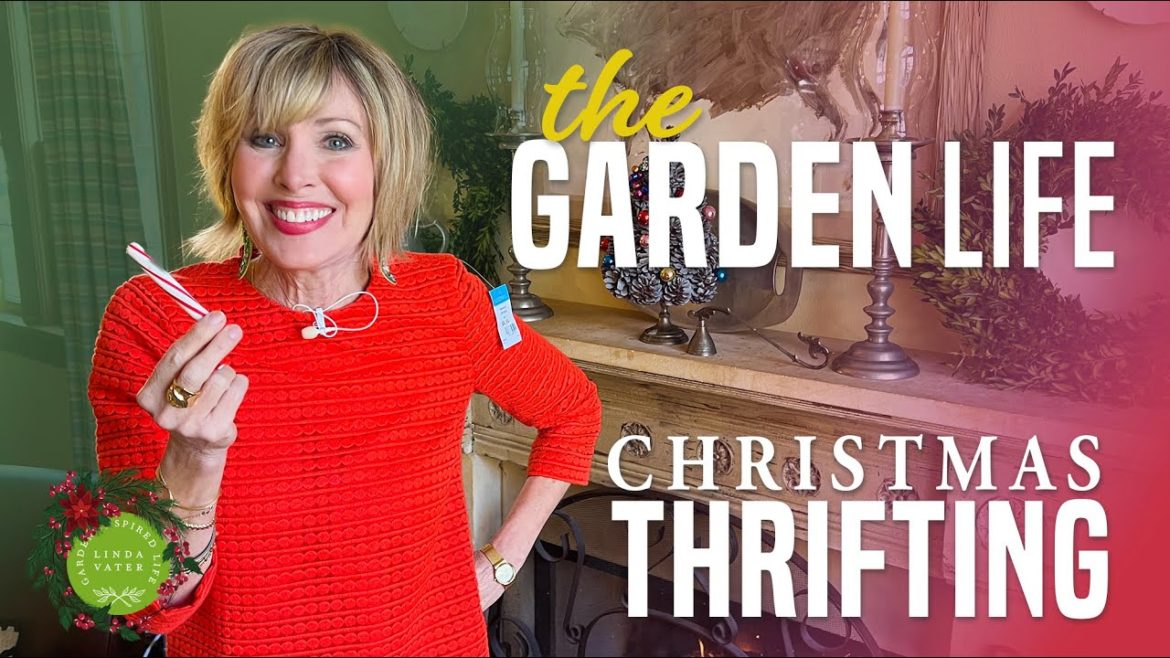 Lets Go Christmas Thrifting