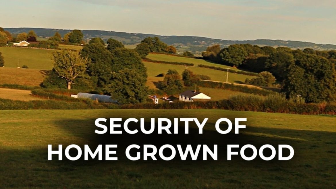 Grow food AND work full time? | Self-sufficiency in practice