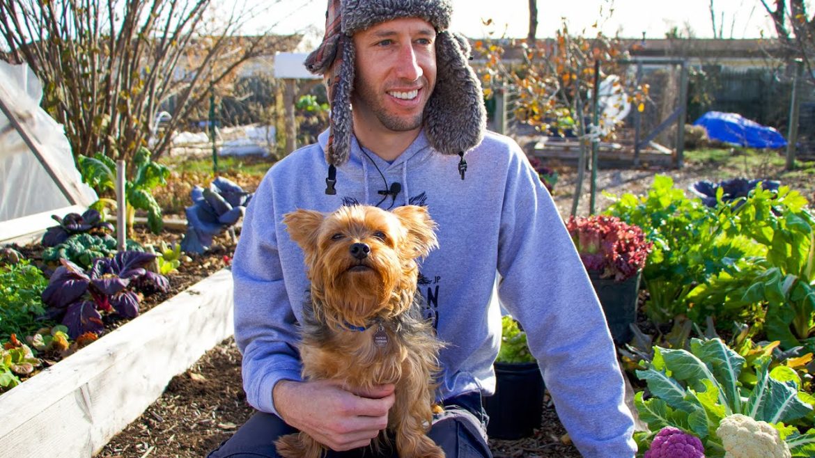 Tuck Health Update and Harvest