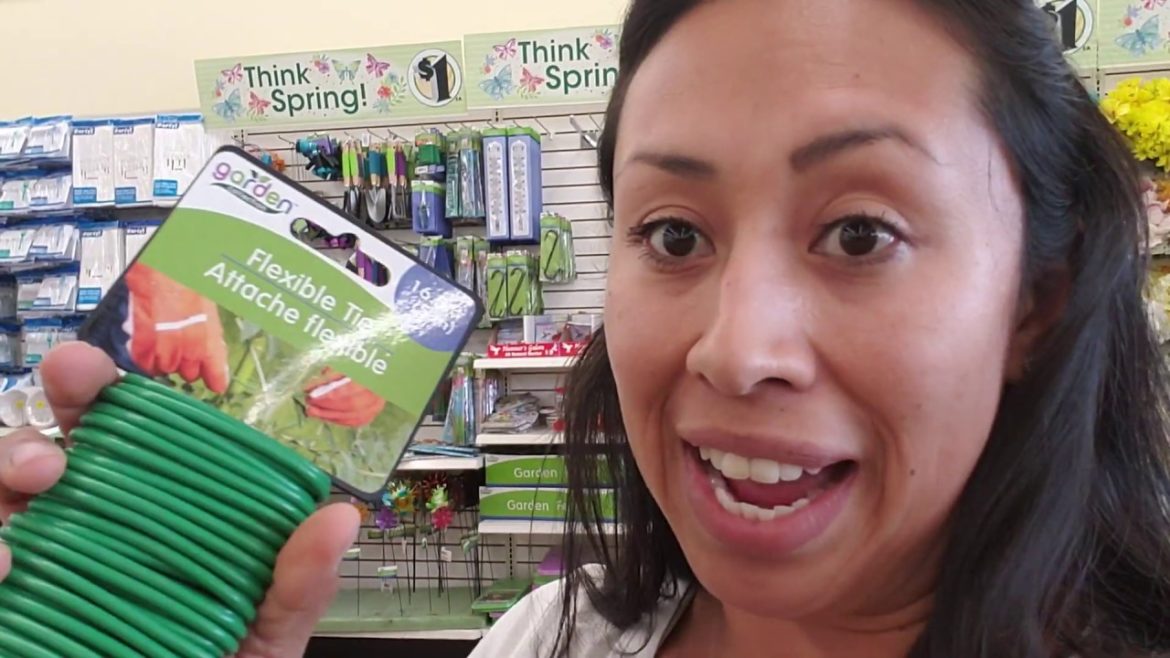 Dollar Tree Garden supplies Sale Dollar Tree Garden supplies Sale