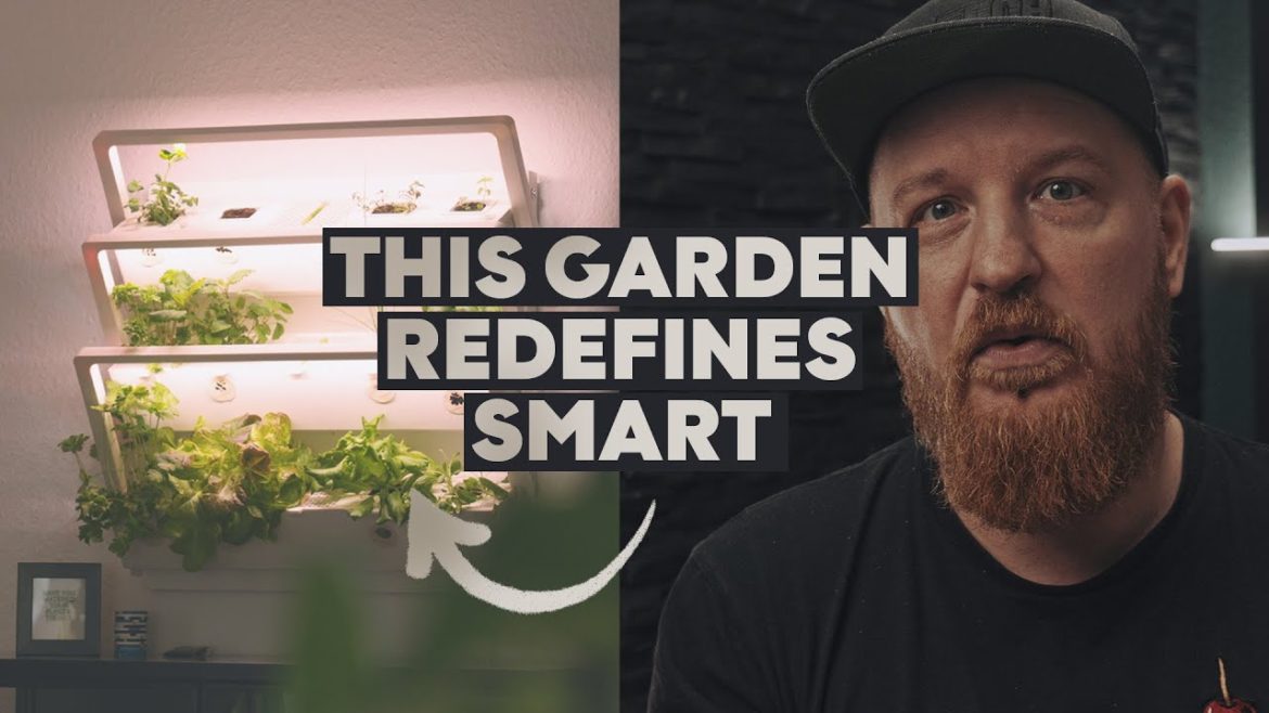 Urbanhive Homefarm Smart Indoor Garden Review Urbanhive Homefarm Smart Indoor Garden Review