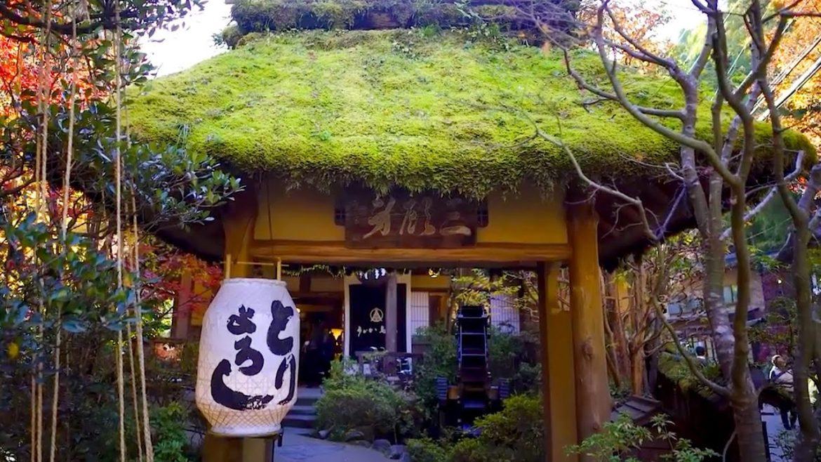 Must-try Beautiful Japanese restaurant with amazing huge garden.