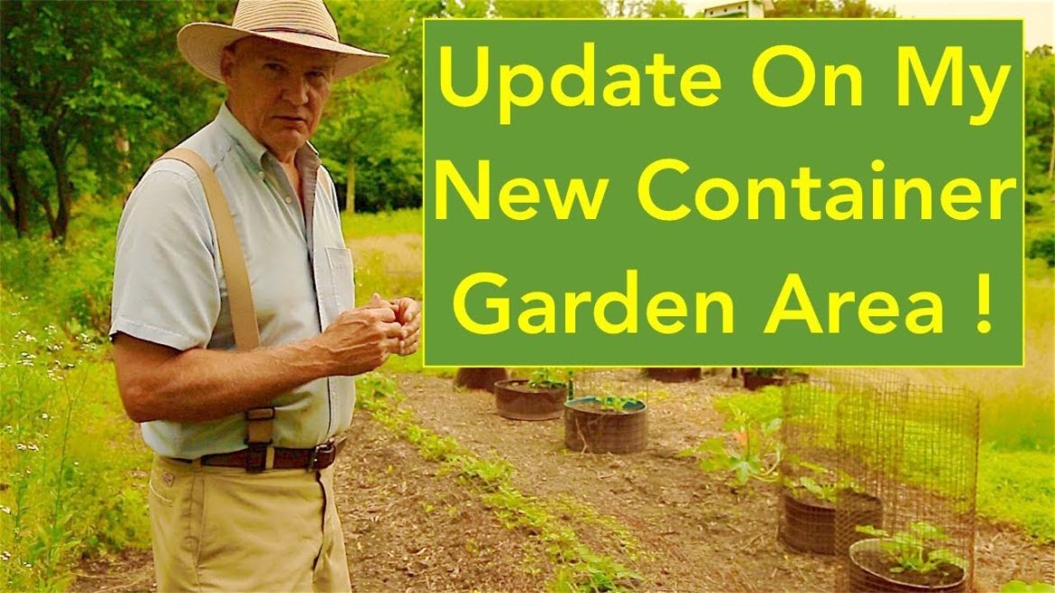 Update On My New Container Garden Area And A Big Thank You To: Humans Who Grow Food!
