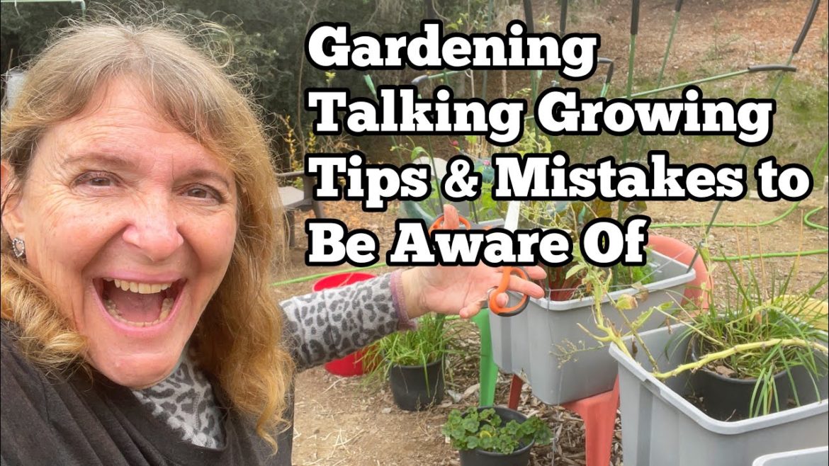 Garden Mishaps Prevent Loss as Tree Roots Take from Vegetable Plants TIPS Container Gardening Leaves Garden Mishaps Prevent Loss as Tree Roots Take from Vegetable Plants TIPS Container Gardening Leaves