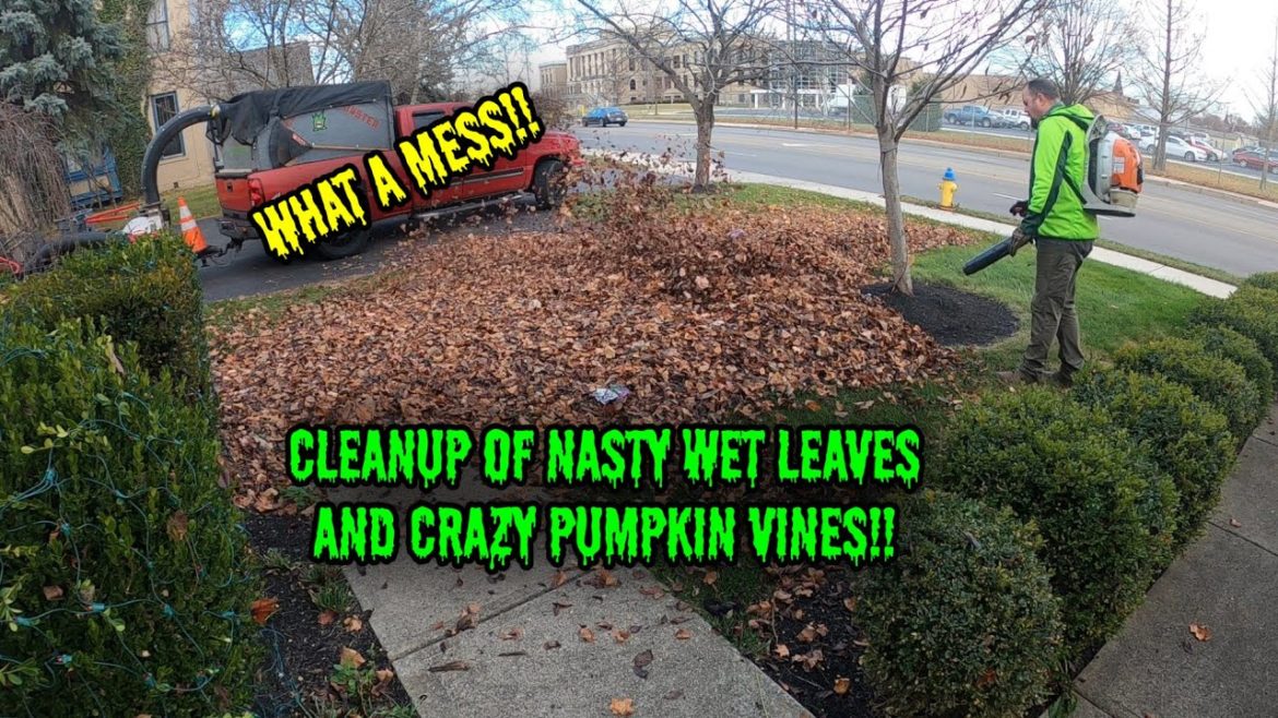CLEANUP OF NASTY WET LEAVES AND CRAZY PUMPKIN VINES!!