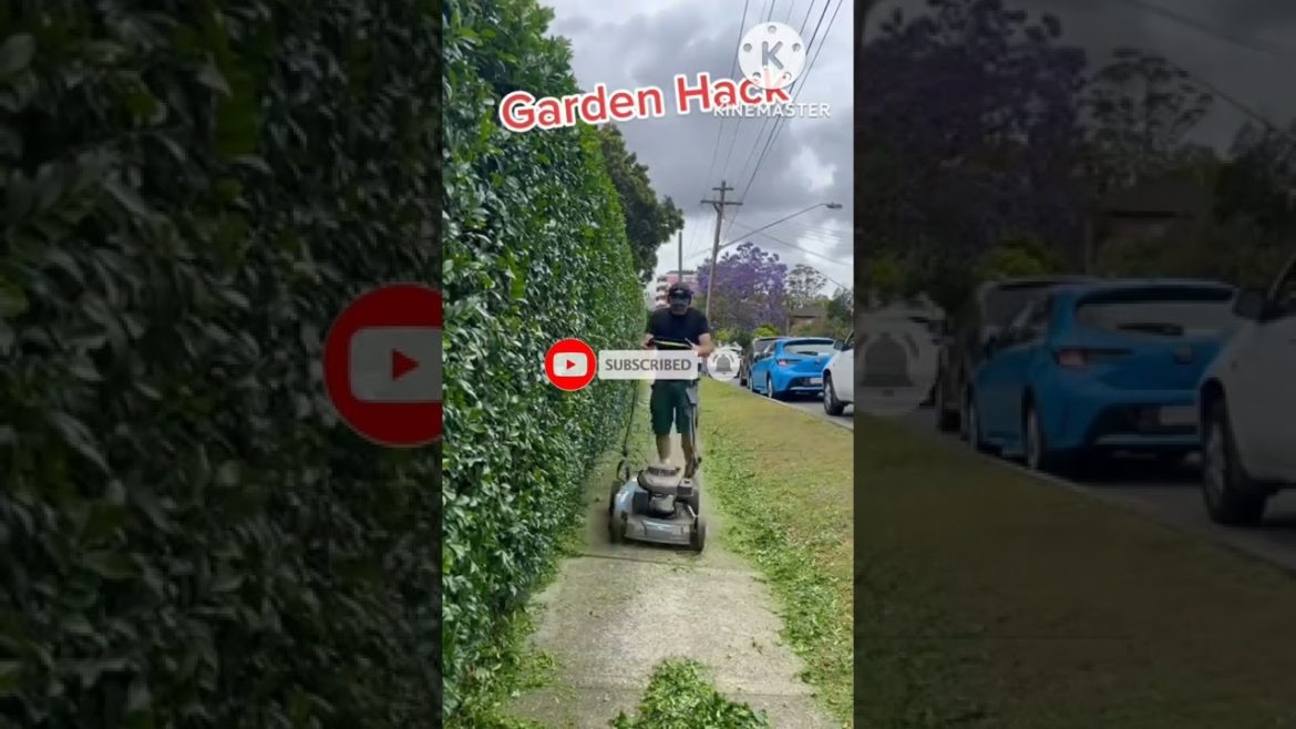 Great Tips For Home Garden Farmers /Agriculture Farming / ගෙවතු වගාව #homegarden #tips #farming Great Tips For Home Garden Farmers /Agriculture Farming / ගෙවතු වගාව #homegarden #tips #farming