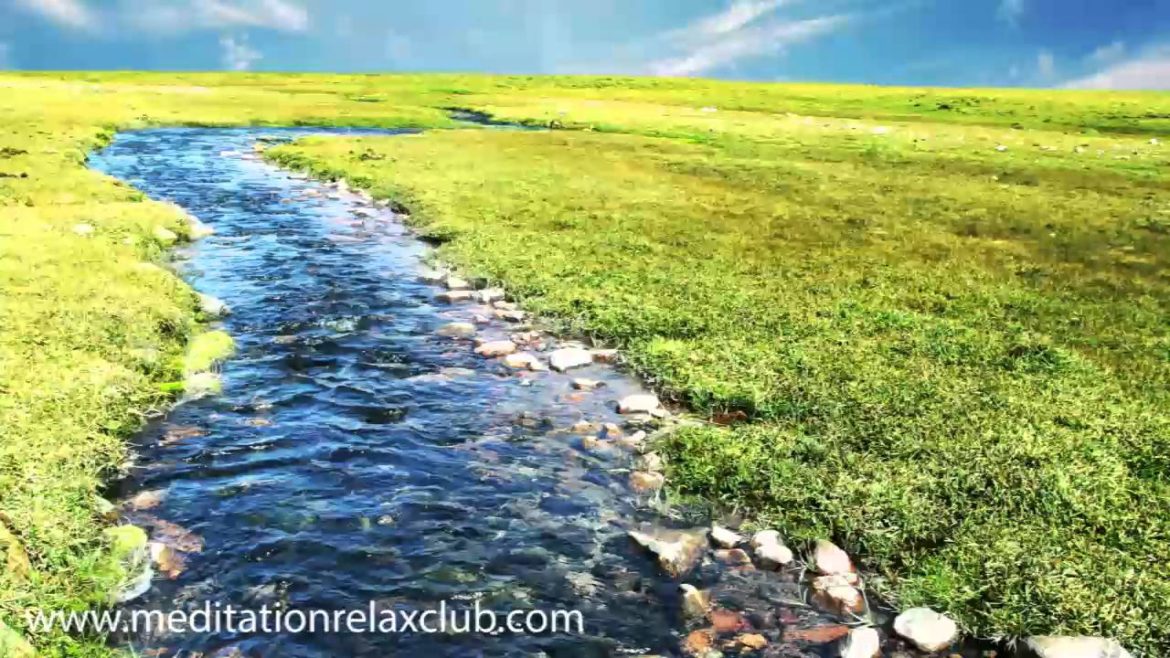 3 HOURS Zen Garden Music: Traditional Japanese Music Playlist