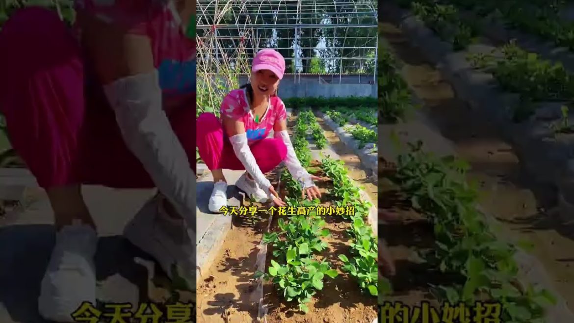 Episode 327 plant #shorts Episode 327 plant #shorts