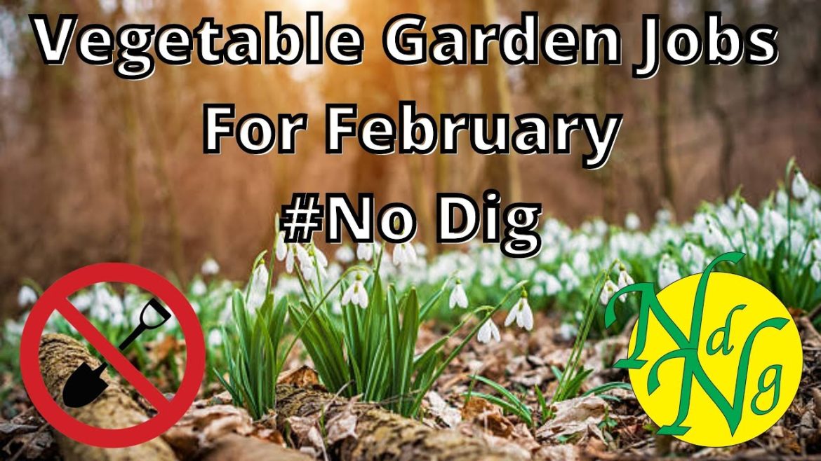 Vegetable Gardening Jobs For February #No Dig Vegetable Gardening Jobs For February #No Dig