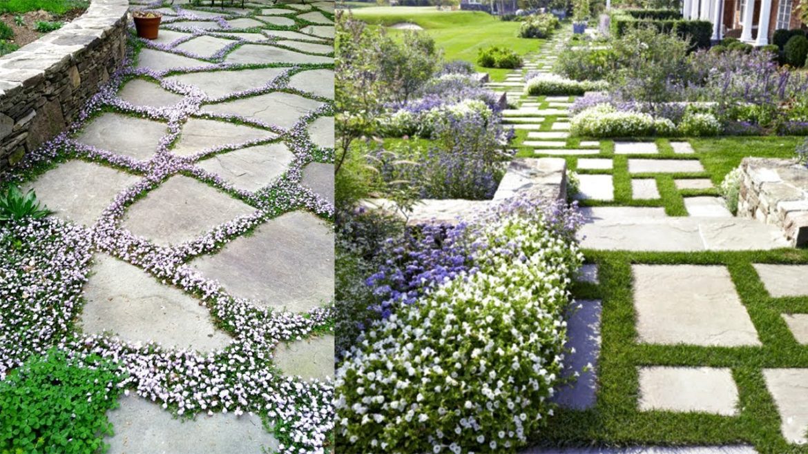Home & Garden-Cool Landscape Ideas | Landscaping with Stone | Small Garden Landscape Design Ideas