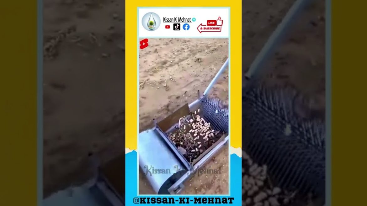 Agriculture Equipment Farming Tools #trending  #farming #agriculture #shortvideo , AgriTools