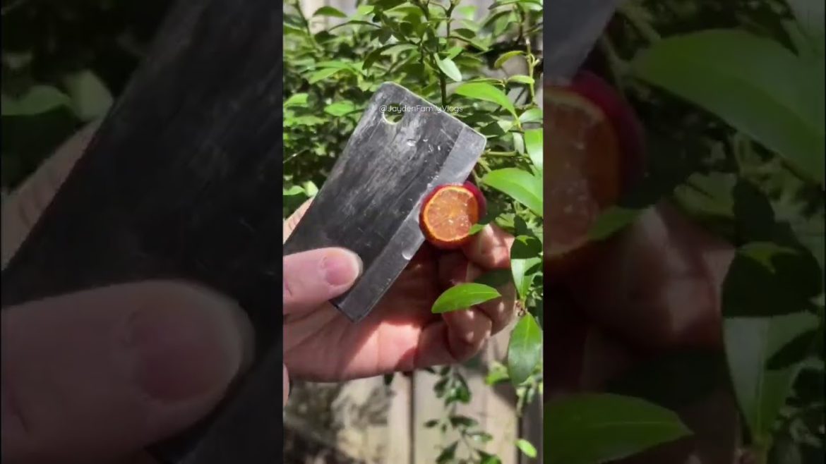 Fruit Cutting Bush LEMON 🍋😱 #shorts #satisfying #fruitcutting #food #fruit #short #fruit