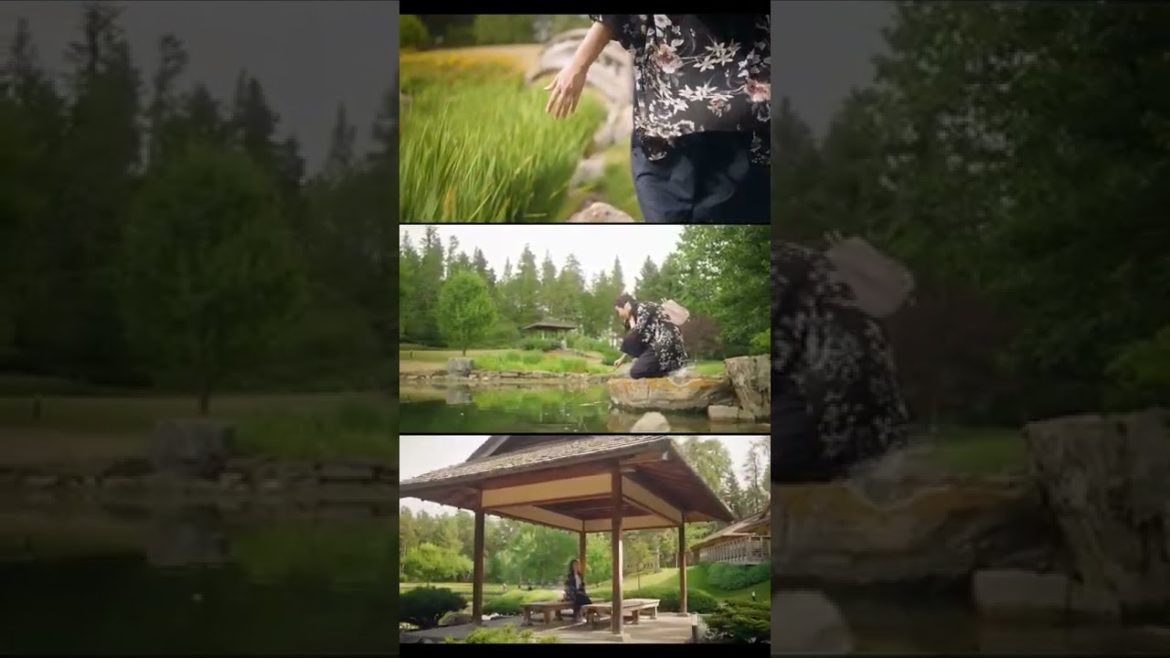 The combination of creativity (Color Grading) - Japanese Garden