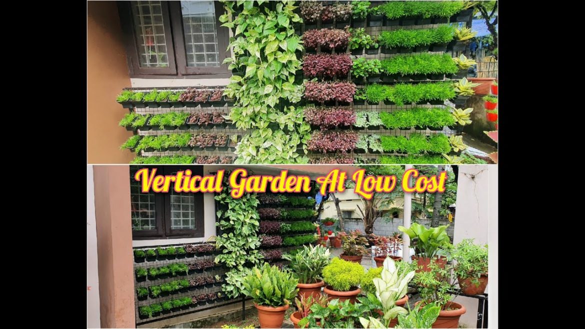 Vertical Gardening Ideas | Low Cost | Tips And Tricks | Suitable Vertical Garden Plants | Tamil