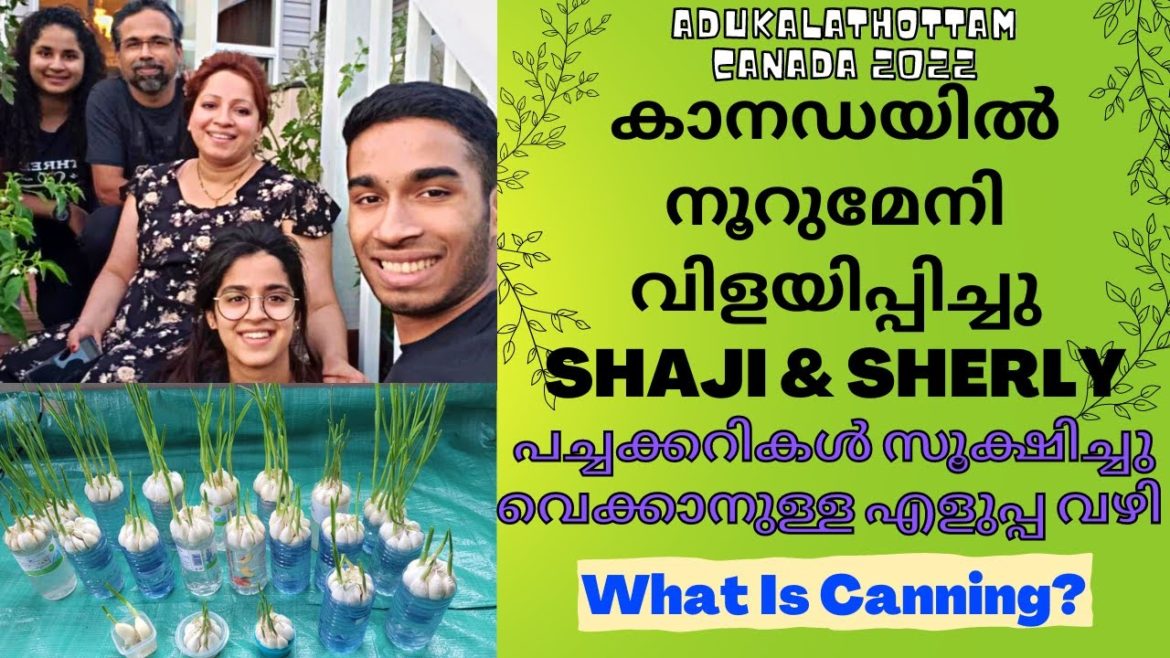 Backyard Vegetable Garden In Canada | Canning Explained | Malayali Life In Canada | Adukkalathottam Backyard Vegetable Garden In Canada | Canning Explained | Malayali Life In Canada | Adukkalathottam