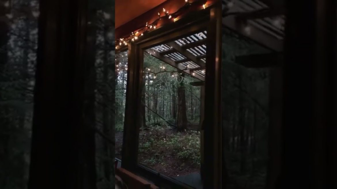 CABIN ATMOSPHERE IN THE MIDDLE OF THE FOREST #shorts CABIN ATMOSPHERE IN THE MIDDLE OF THE FOREST #shorts