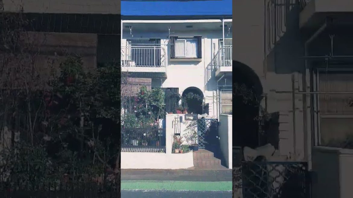 Japanese small front yard Japanese small front yard