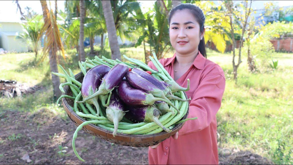 Eggplant and Long bean in vegetable garden id good for cooking / Cooking with Sreypov Eggplant and Long bean in vegetable garden id good for cooking / Cooking with Sreypov