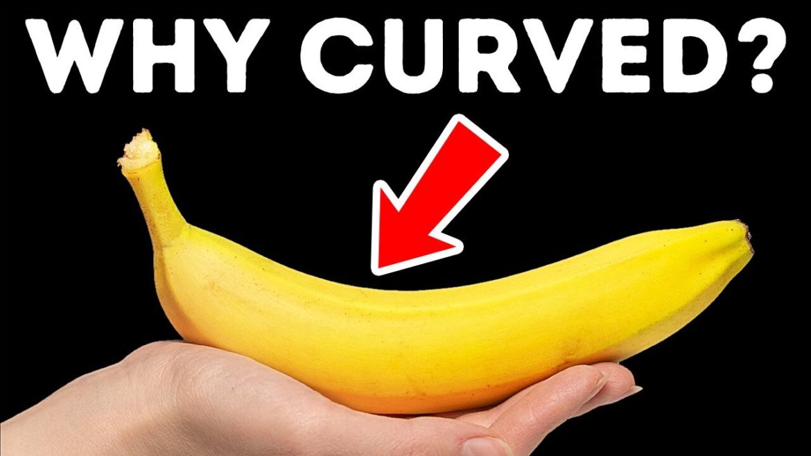 95 Uncommon Facts About Common Things 95 Uncommon Facts About Common Things