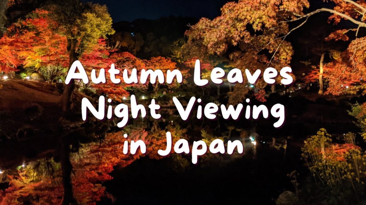 Autumn Leaves Night Viewing in Japan | Shukkeien Garden