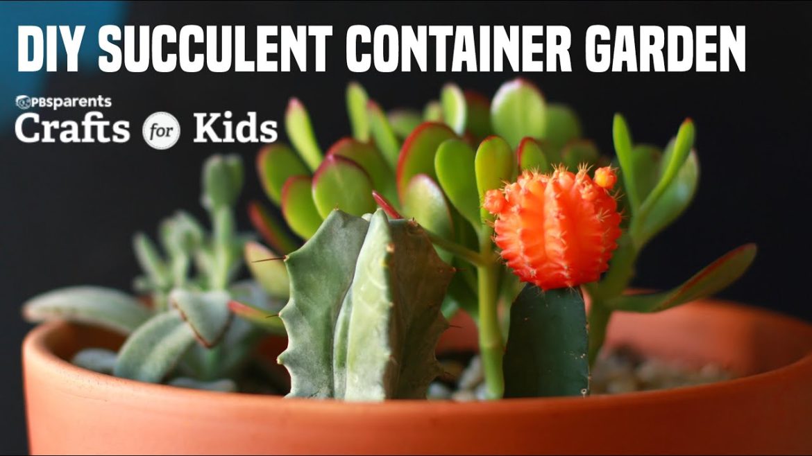 DIY Succulent Container Garden | Crafts for Kids | PBS KIDS for Parents