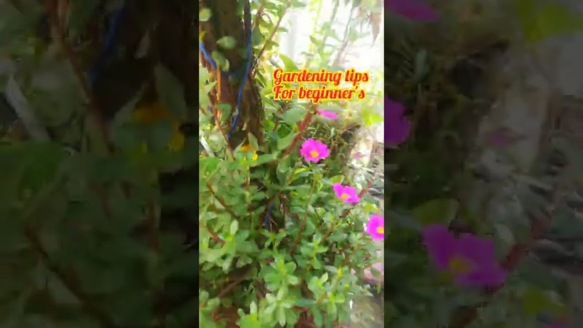 Money saving gardening tips/ reuses of plastic/ 💖