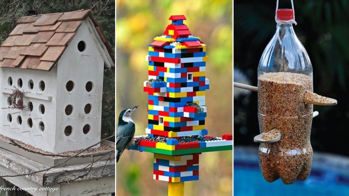 10 Bird Garden Ideas 10 Bird Garden Ideas
