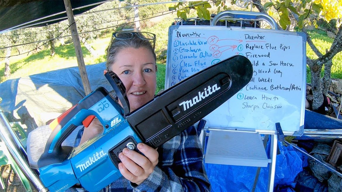 November Homestead Update and December Plans… Now, With Chainsaws! November Homestead Update and December Plans... Now, With Chainsaws!