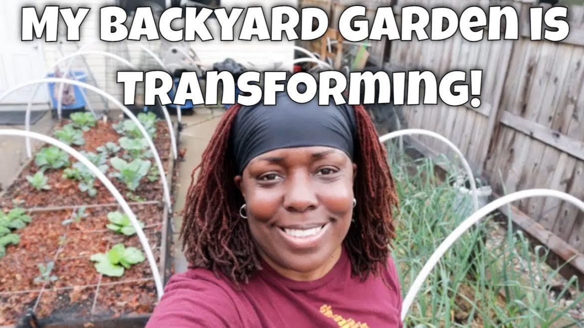 My Backyard Garden is Transforming! My Backyard Garden is Transforming!