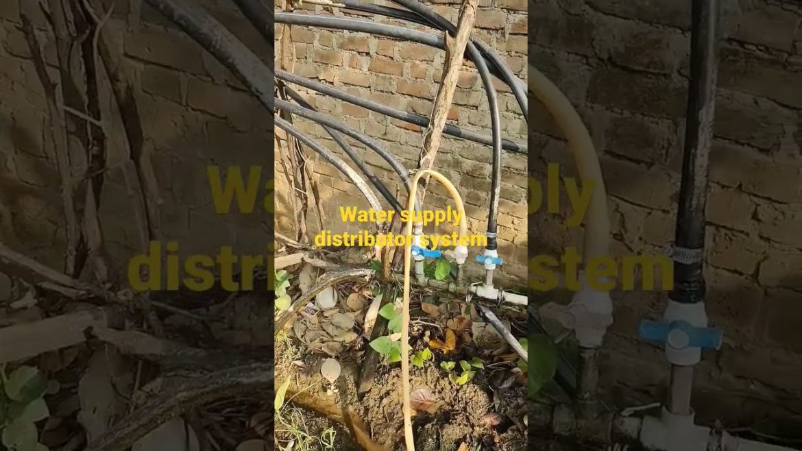 water supply distributor system, पानी की सप्लाई का देसी जुगाड़, please 🙏 like 👍 and subscribe,