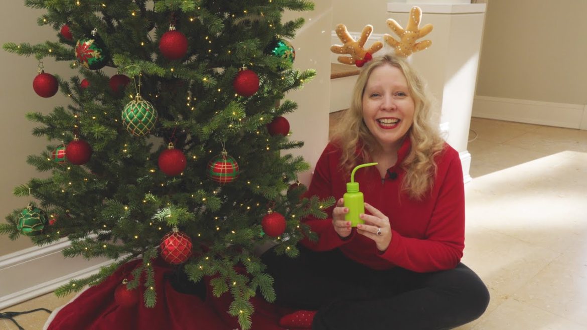 Gardening Items I Can't Live Without: Christmas Gift Ideas for Gardeners