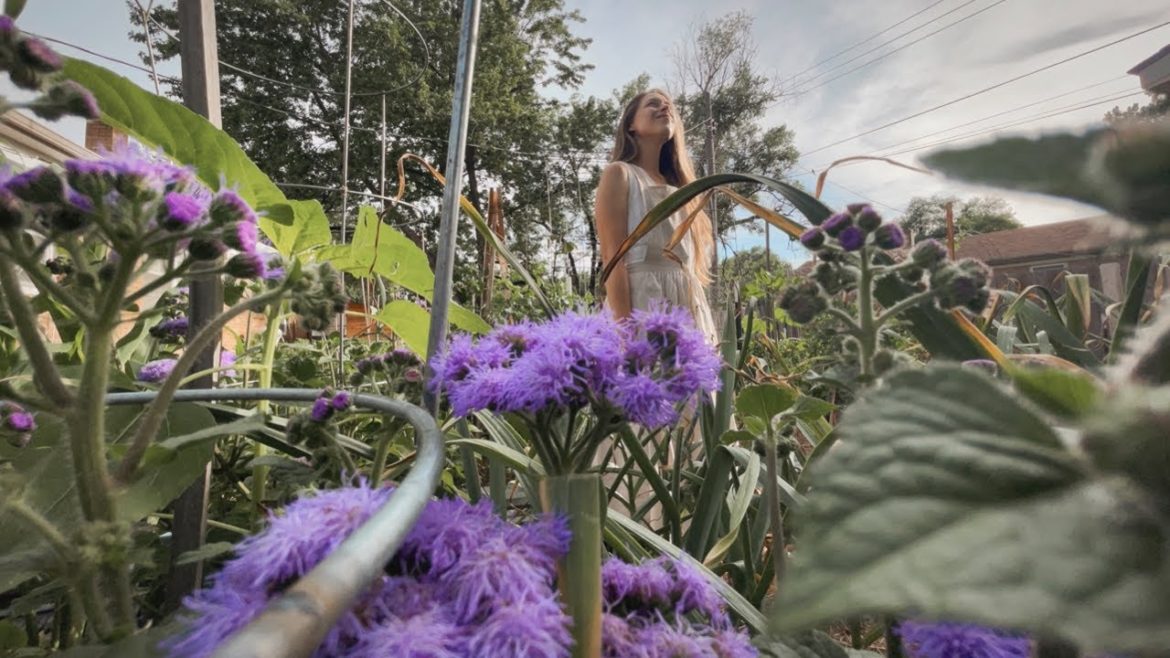 June 2022 Backyard Garden Tour! ๐๐ฑ Kansas Zone 6b June 2022 Backyard Garden Tour! ๐๐ฑ Kansas Zone 6b