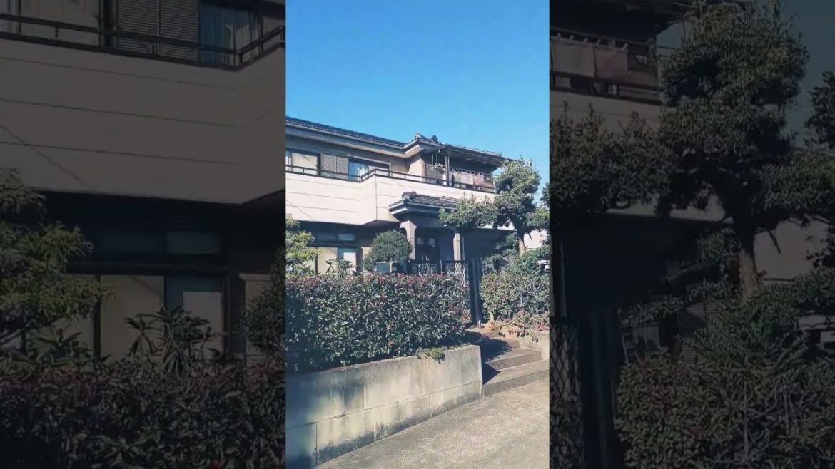 Japanese traditional garden style