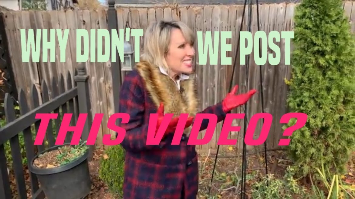 FOUND FOOTAGE! This Was the Garden in 2020 FOUND FOOTAGE! This Was the Garden in 2020