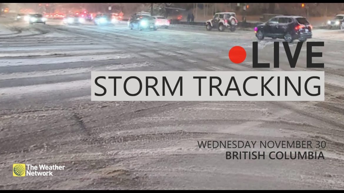 LIVE TRACKING | Heavy snow brings messy travel, outages to southern B.C.