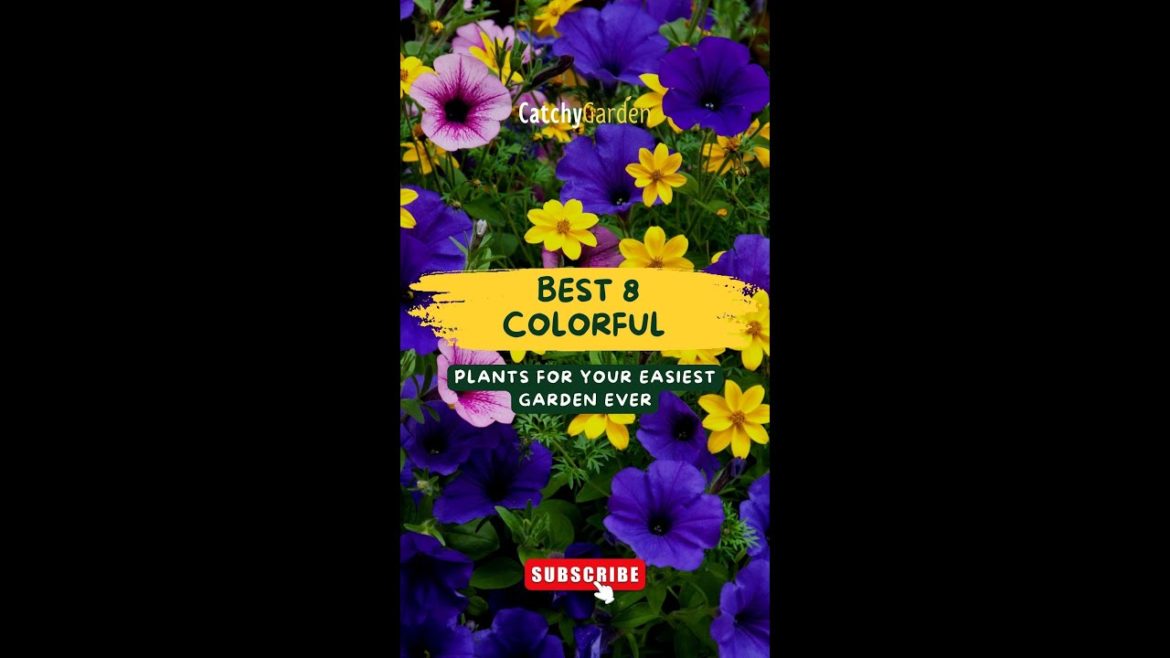 Best 8 Colorful Outdoor Plants for Your Easiest Garden Ever πΈπ // #short #shorts Best 8 Colorful Outdoor Plants for Your Easiest Garden Ever πΈπ // #short #shorts