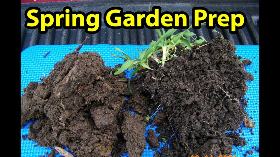 Spring Garden Prep 2020 | Cover crops in your Backyard Garden Spring Garden Prep 2020 | Cover crops in your Backyard Garden