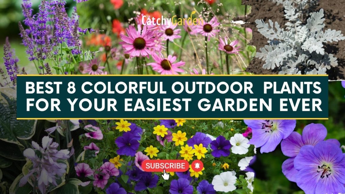 Best 8 Colorful Outdoor Plants for Your Easiest Garden Ever 🌸🍃🌷 // Garden Ideas