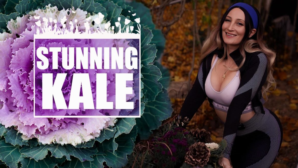 I am OBSESSED with Ornamental Kale and You Should Be Too! I WOLF OF THE WILD I am OBSESSED with Ornamental Kale and You Should Be Too! I WOLF OF THE WILD