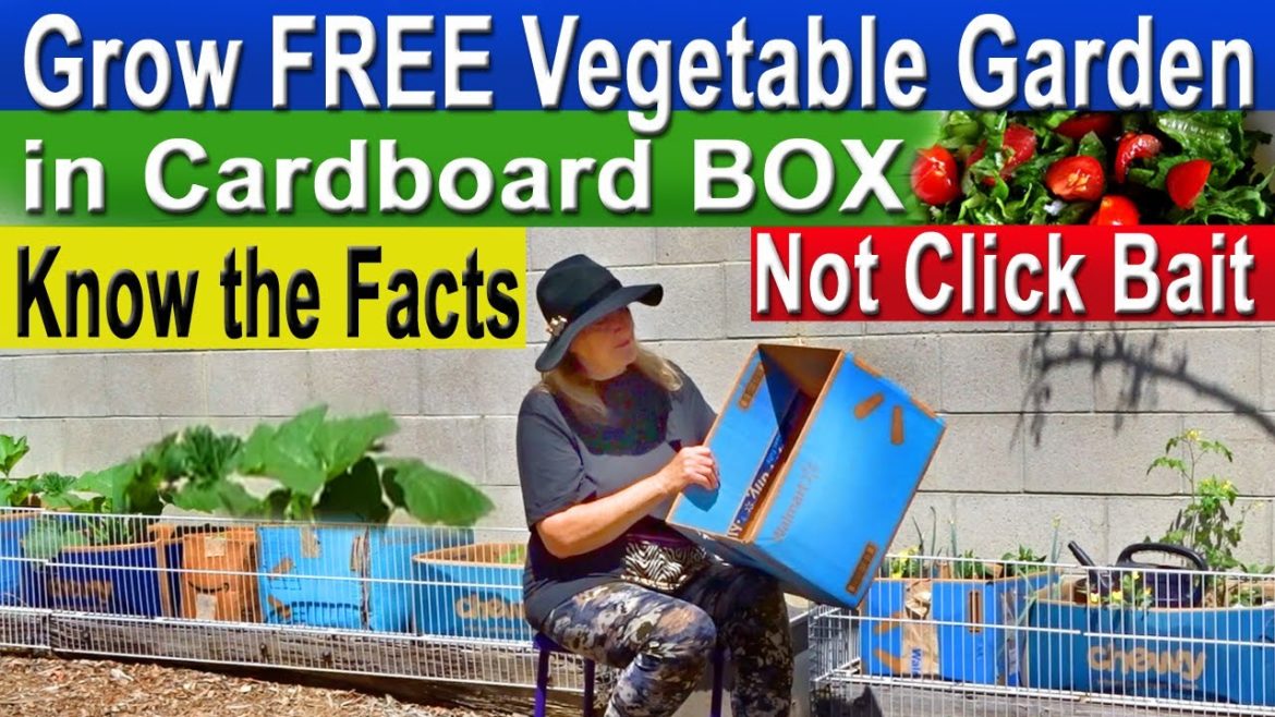EASY Cardboard Box Garden FREE Vegetable Container Gardening Growing Food Compost In Place Make Soil
