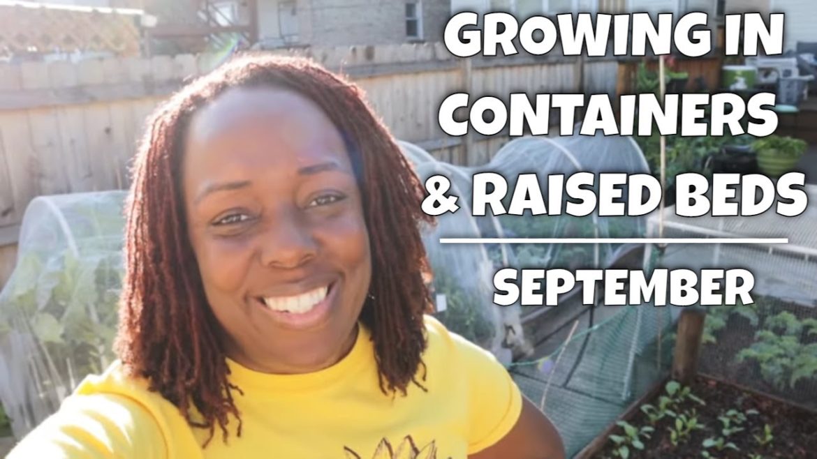 Growing in Containers & Raised Beds | Backyard Garden